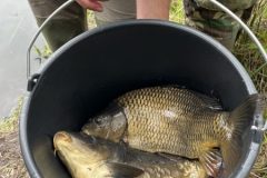 IMG_8203-scaled