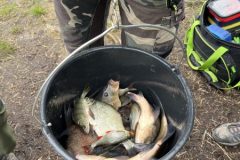 IMG_8212-scaled